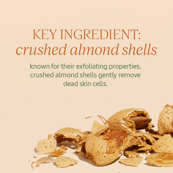 Almond Delicious Paste Almond Delicious Paste