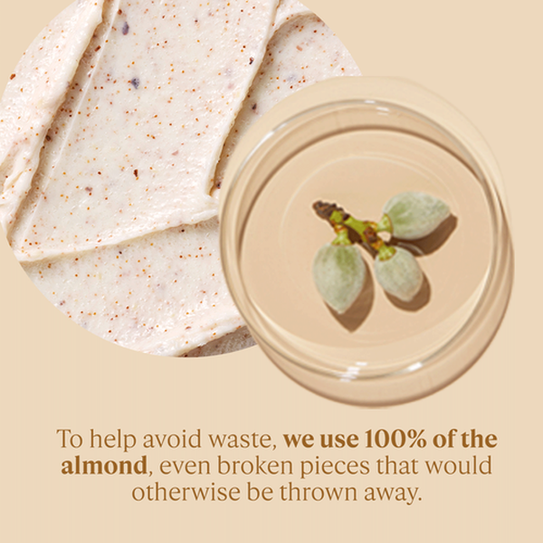 Almond Delicious Paste Almond Delicious Paste